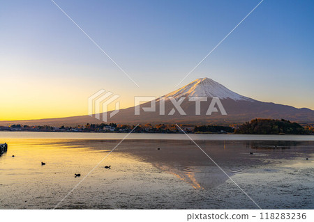 [富士山資料]冬天的早晨從河口湖看到的富士山[山梨縣] 118283236