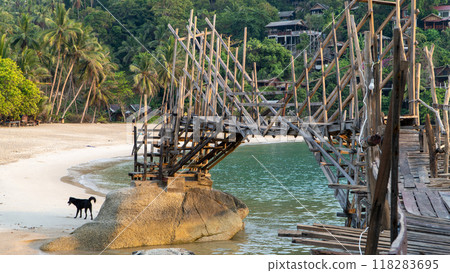 A dog stands on a rock by a wooden bridge over water. Haad Sadet Beach, Koh Phangan island, Thailand 118283695