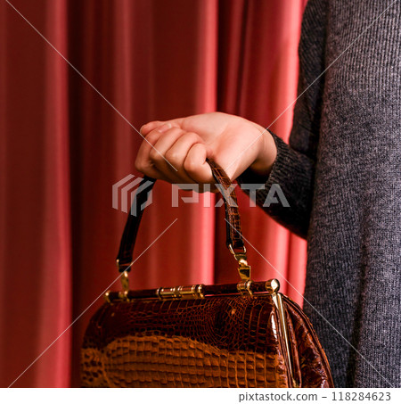 Woman holding a handbag Woman holding a handbag 118284623
