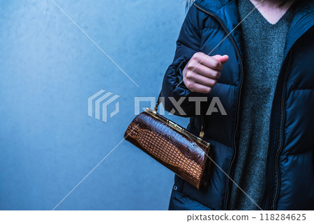 提著手提包的女人 118284625