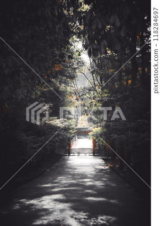 光路 光路 118284697