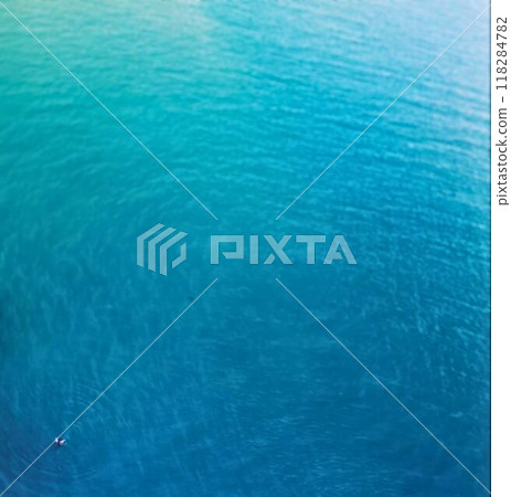 一個人在私人翠綠色的大海裡游泳 118284782
