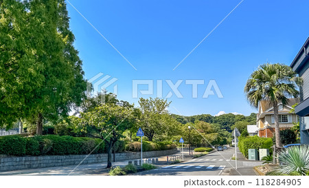A beautiful and elegant street next to a lush park 118284905