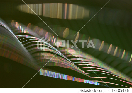 A close-up of a spider web shining iridescently in the morning sun 118285486