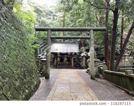 Scenery with the torii gates of Konpira Shrine 118287115