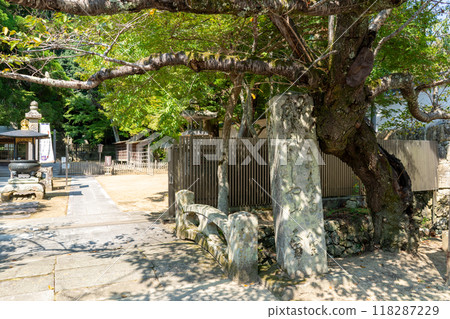 Shogo mountain tea temple 118287229