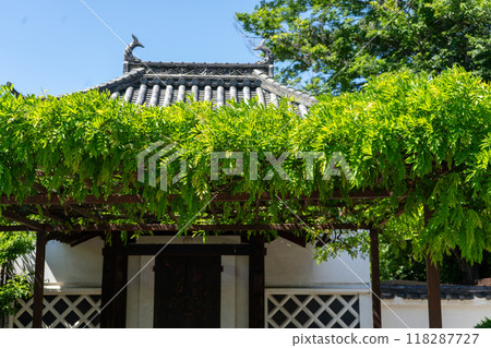 紫雲山和井寺 紫雲山和井寺 118287727