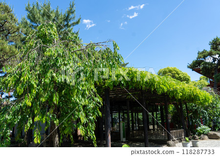 紫雲山和井寺 紫雲山和井寺 118287733
