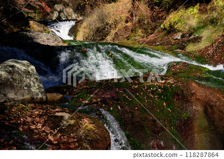 Autumn in Shinshu: Oshidori Hidden Falls 118287864