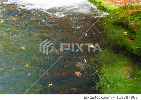 秋季信州押通隱瀑布 118287868