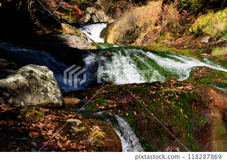 Autumn in Shinshu: Oshidori Hidden Falls Autumn in Shinshu: Oshidori Hidden Falls 118287869