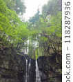 Falls surrounded by green 118287936
