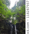 A waterfall surrounded by fresh greenery 118287937