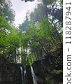 Small waterfall in the forest 118287941