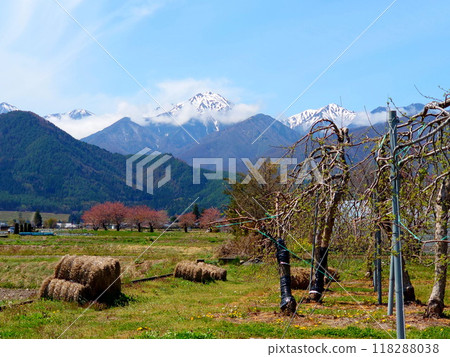 Mountains, apple orchards and bales Mountains, apple orchards and bales 118288038