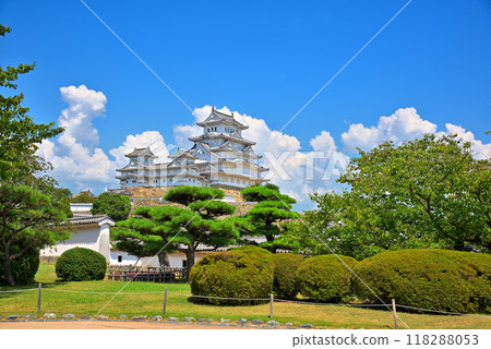 [Hyogo Prefecture] White clouds shining against the blue sky and Himeji Castle 118288053