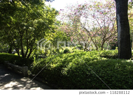 Jozanen, September, Japanese Garden 118288112