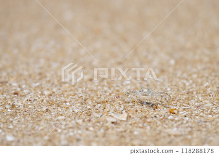 Transparent 118288178