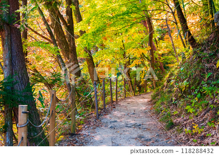 Tsumago-juku to Magome-juku Trail (Autumn) Tsumago-juku to Magome-juku Trail (Autumn) 118288432