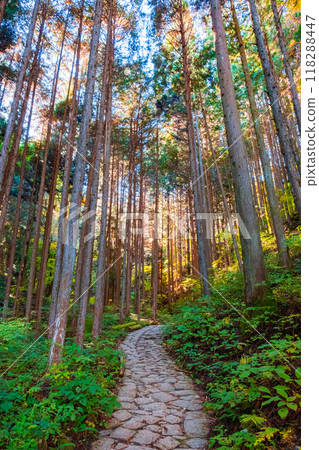 Tsumago-juku to Magome-juku Trail (Autumn) 118288447