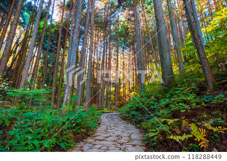 妻籠宿~馬籠宿路線(秋季) 妻籠宿~馬籠宿路線(秋季) 118288449
