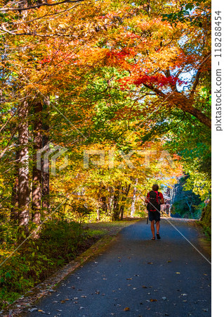 Tsumago-juku to Magome-juku Trail (Autumn) Tsumago-juku to Magome-juku Trail (Autumn) 118288454
