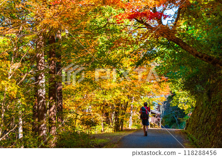 Tsumago-juku to Magome-juku Trail (Autumn) Tsumago-juku to Magome-juku Trail (Autumn) 118288456