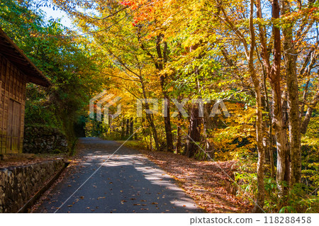 Tsumago-juku to Magome-juku Trail (Autumn) Tsumago-juku to Magome-juku Trail (Autumn) 118288458