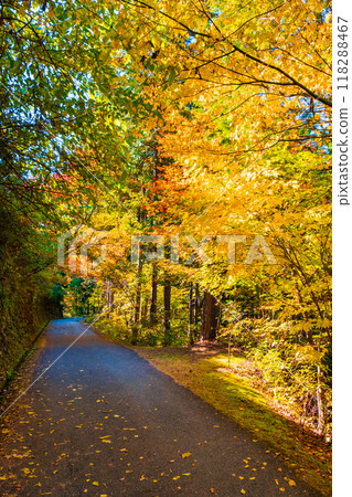 妻籠宿～馬籠宿路線（秋季） 118288467