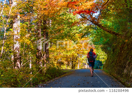 妻籠宿～馬籠宿路線（秋季） 118288496