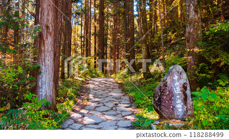 妻籠宿～馬籠宿路線（秋季） 118288499