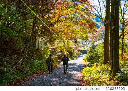 Tsumago-juku to Magome-juku Trail (Autumn) Tsumago-juku to Magome-juku Trail (Autumn) 118288503