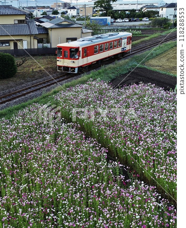 柴油列車穿越城市的宇宙場 118288553