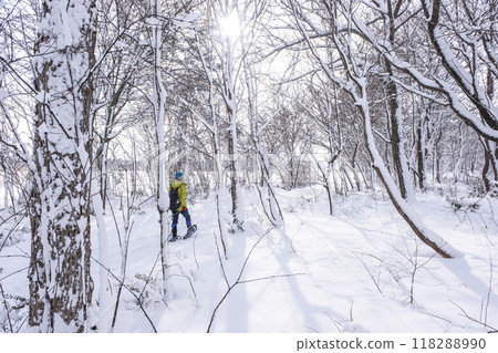雪鞋徒步 Hiruzen Kogen 的形象 118288990