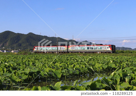 高德線特急渦潮(2700系:岡山⇔德島) 高德線特急渦潮(2700系:岡山⇔德島) 118289125