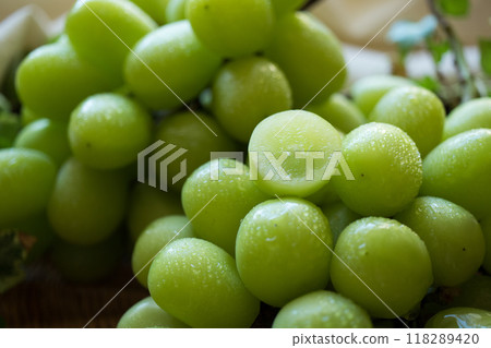 閃耀馬斯喀特和橫斷面 (1) 118289420