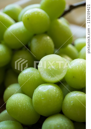 閃耀馬斯喀特和橫斷面 (2) 118289421