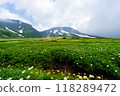 Asahidake Flower Field 118289472