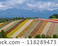 Hill of colors 118289473