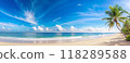 tropical beach with coconut palm tree 118289588