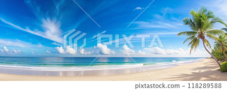 tropical beach with coconut palm tree tropical beach with coconut palm tree 118289588