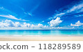 tropical beach at sunrise 118289589
