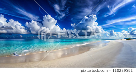beautiful tropical beach sea and ocean with cloud 118289591