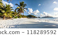 tropical beach with coconut palm and blue sky 118289592