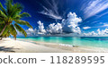 tropical beach with coconut palm tree 118289595