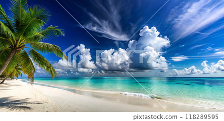 tropical beach with coconut palm tree tropical beach with coconut palm tree 118289595