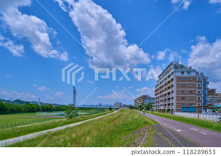 從東京都府中市是政四丁目附近的多摩川河床向西眺望是政大橋 從東京都府中市是政四丁目附近的多摩川河床向西眺望是政大橋 118289653
