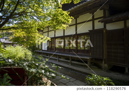 鎌倉249 常光寺 8 迎賓堂 118290576