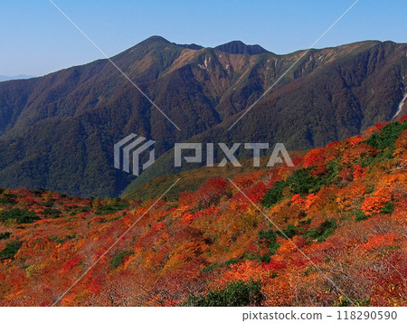那須高原姥頭平的紅葉(大倉山、禦倉山) 那須高原姥頭平的紅葉(大倉山、禦倉山) 118290590