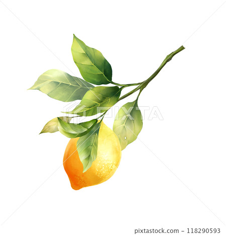 Lemons with leaves, isolated on white background. Hand drawn illustration in watercolor style Lemons with leaves, isolated on white background. Hand drawn illustration in watercolor style 118290593